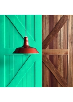 Barn Door BR-03